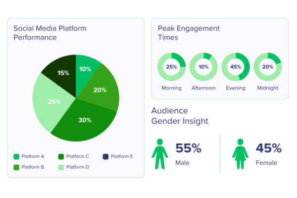 Social Media Performance by Segments, Engagement Times and Audience by Gender